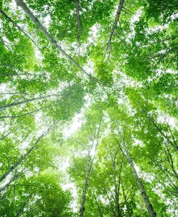 Sustainability−2
